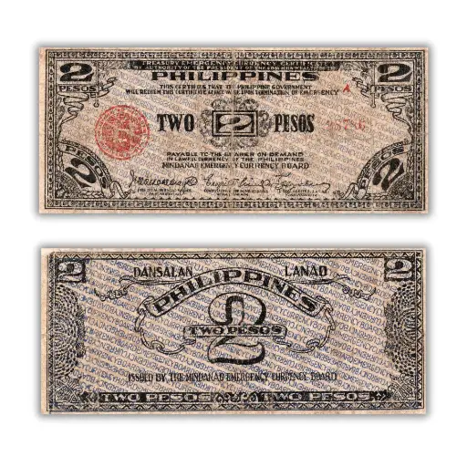 Philippines 2P Mindanao Emergency Currency Board Pick S471